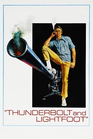 Pe urmele banilor - Thunderbolt and Lightfoot (1974)