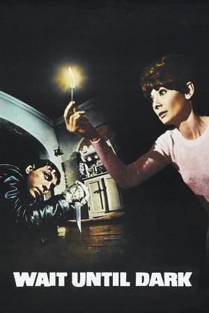 Așteaptă până la întuneric - Wait Until Dark (1967)