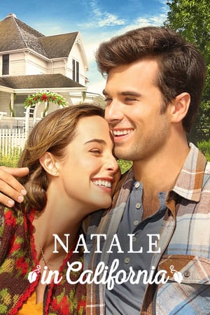 Natale in California - A California Christmas (2020)