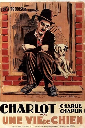 Une vie de chien - A Dog's Life (1918)