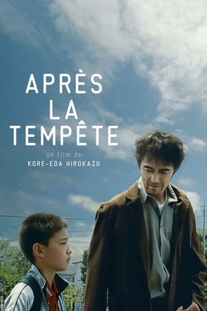 Après la tempête - After the Storm (2016)