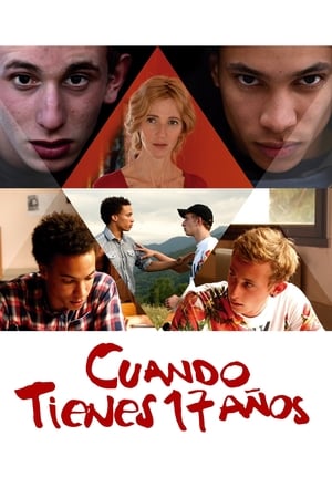 Cuando tienes 17 años - Being 17 (2016)