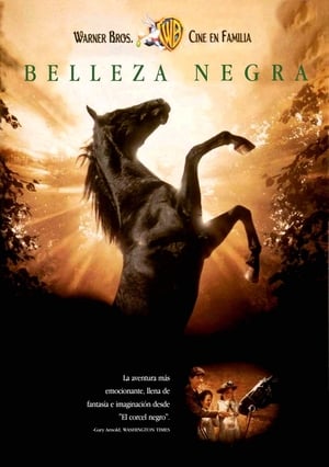 Belleza Negra - Black Beauty (1994)
