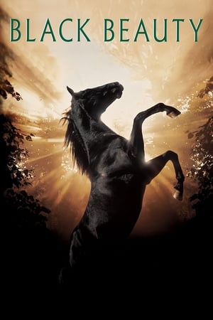 Frumusețea neagră - Black Beauty (1994)