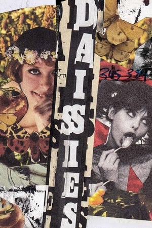 Daisies (1966)