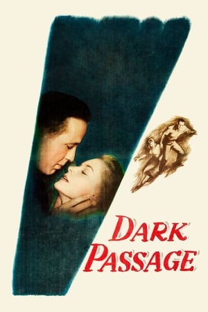 Pasaj Intunecat - Dark Passage (1947)