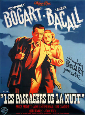 Les Passagers de la nuit - Dark Passage (1947)