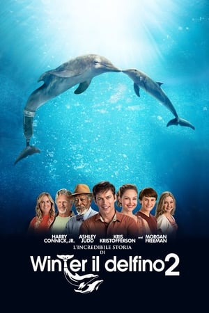 L'incredibile storia di Winter il delfino 2 - Dolphin Tale 2 (2014)