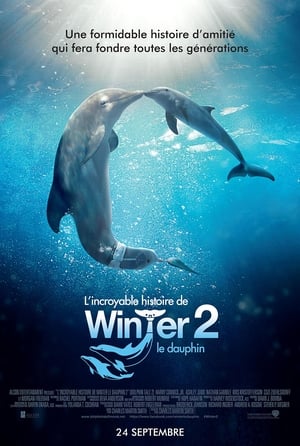 Histoire de dauphin 2 - Dolphin Tale 2 (2014)