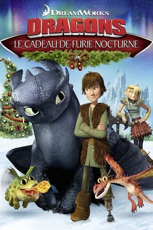 Dragons : Le cadeau du Furie Nocturne - Dragons: Gift of the Night Fury (2011)