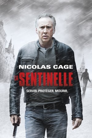 Le vengeance dans le sang - Dying of the Light (2014)