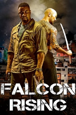 Nume de cod: Șoimul - Falcon Rising (2014)