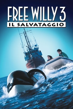Free Willy 3 - Il salvataggio - Free Willy 3: The Rescue (1997)