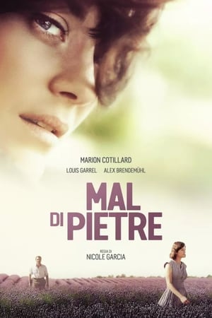 Mal di pietre - From the Land of the Moon (2016)