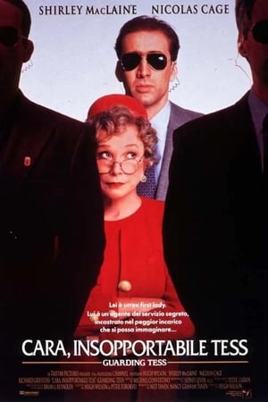 Cara, insopportabile Tess - Guarding Tess (1994)