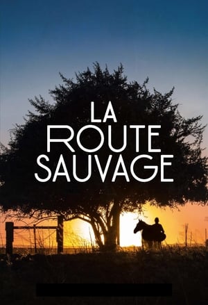 La Route sauvage - Lean on Pete (2018)
