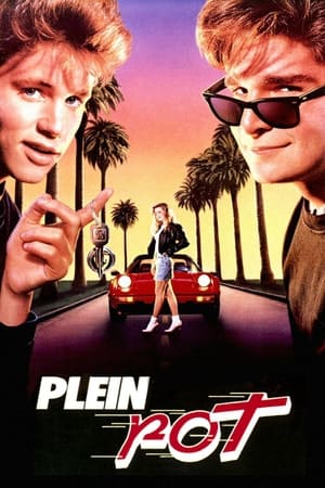 À fond la caisse shérif - License to Drive (1988)