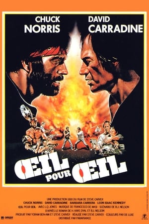 Œil pour œil - Lone Wolf McQuade (1983)