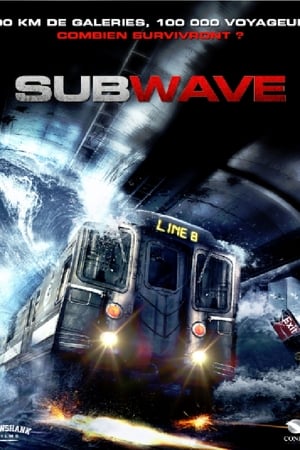 Subwave - Metro (2013)
