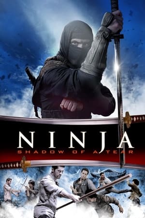Ninja 2 : Shadow of a Tear - Ninja: Shadow of a Tear (2013)