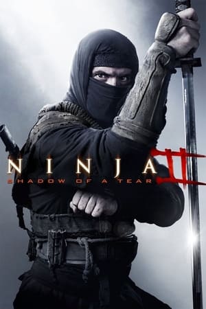 Ninja 2: La venganza del guerrero - Ninja: Shadow of a Tear (2013)