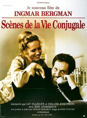 Scènes de la vie conjugale - Scenes from a Marriage (1974)