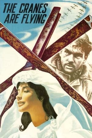 Cocorii zboară - The Cranes Are Flying (1957)