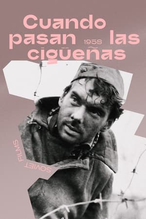 Cuando pasan las cigüeñas - The Cranes Are Flying (1957)