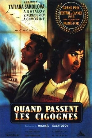 Quand passent les cigognes - The Cranes Are Flying (1957)
