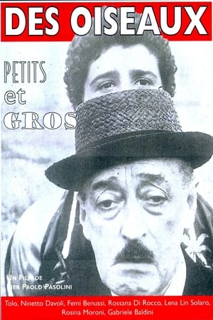 Des oiseaux, petits et grands - The Hawks and the Sparrows (1966)