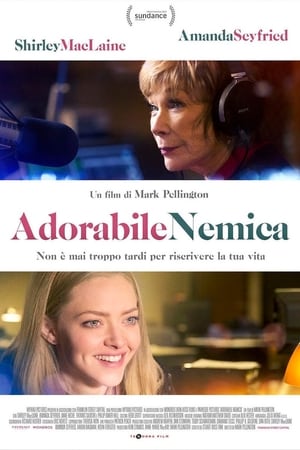 Adorabile nemica - The Last Word (2017)