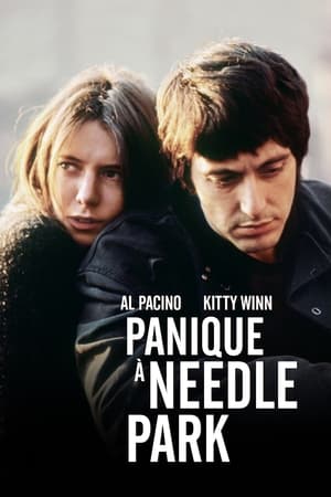 Panique à Needle Park - The Panic in Needle Park (1971)