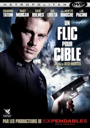 Un Flic pour cible - The Son of No One (2011)