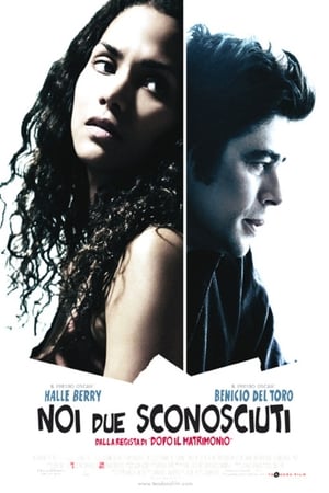 Noi due sconosciuti - Things We Lost in the Fire (2007)