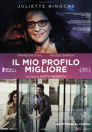 Il mio profilo migliore - Who You Think I Am (2019)