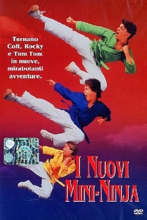 I nuovi mini ninja - 3 Ninjas Kick Back (1994)