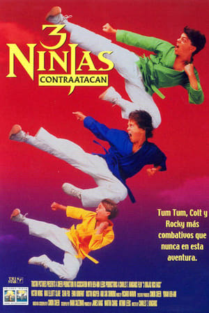 3 Ninjas al rescate - 3 Ninjas Kick Back (1994)