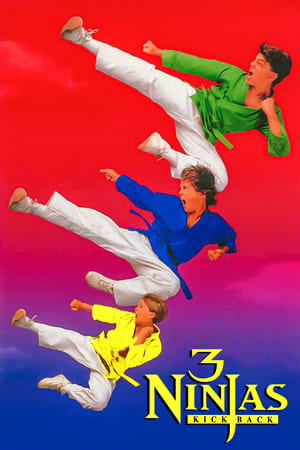 Cei trei ninja lovesc din nou - 3 Ninjas Kick Back (1994)