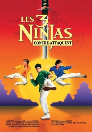 3 ninjas contre-attaquent - 3 Ninjas Kick Back (1994)