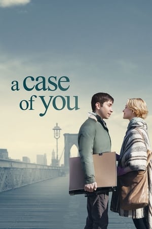 Profilul perfect - A Case of You (2013)