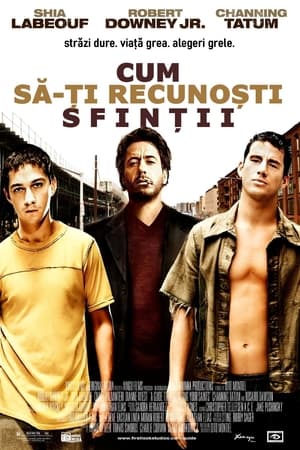 Cum să-ți recunoști sfinții - A Guide to Recognizing Your Saints (2006)