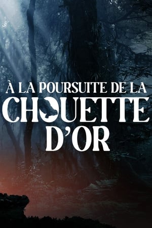 A la poursuite de la chouette d'or (2024)