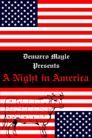 A Night in America (2024)