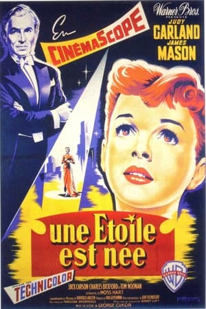Une étoile est née - A Star Is Born (1954)