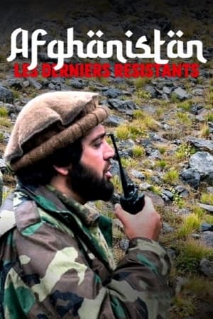 Afghanistan : les derniers résistants (2024)