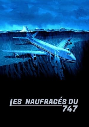Les Naufragés du 747 - Airport '77 (1977)