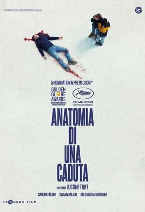 Anatomia di una caduta - Anatomy of a Fall (2023)