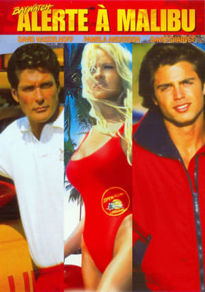 Alerte à Malibu - Baywatch (1989)