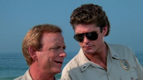 movies/2024-09-03/baywatch-6rjPdMaaeYw6ahSHWbJNp5ksVwF.jpg