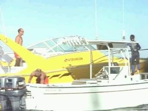 movies/2024-09-03/baywatch-7ti0jyI4GEALiCrdfluU5mVNpj.jpg